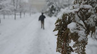 Este cod portocaliu de ninsori și viscol. Prognoza meteo ANM pentru miercuri, 25 februarie 2026: Care sunt zonele cele mai afectate de ninsori