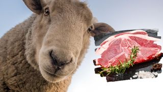 C&acirc;t costă carnea de miel &icirc;nainte de Paște 2026. Totul depinde de evoluția conflictului din Orientul Mijlociu