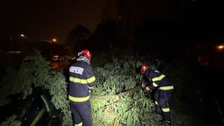 Urmările furtunii care a blocat Bucureștiul. Sute de copaci dobor&acirc;ți și mașini avariate. Au fost emise 4 mesaje RO-ALERT