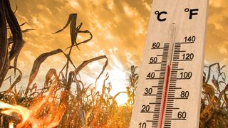 Cod galben de caniculă și furtuni &icirc;n Rom&acirc;nia. Temperaturile ajung la 37 de grade, iar meteorologii anunță nopți tropicale
