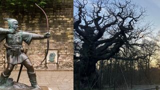 Stejarul &bdquo;Major Oak&rdquo;, legendarul copac asociat cu adăpostul lui Robin Hood, &bdquo;s-a stins&rdquo; după secole de declin