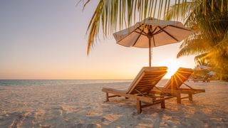 Un bărbat a rămas fără un picior după ce a fost mușcat de un rechin. Se afla &icirc;n luna de miere &icirc;n Maldive