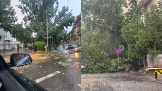 Un bărbat și-a pierdut viața &icirc;n Ilfov, &icirc;n urma furtunii de marți seară. Un copac a căzut peste mașina &icirc;n care se afla