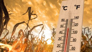 Prognoza meteo ANM luni, 31 august 2026. Meteorologii au emis un cod galben de caniculă pentru vestul țării
