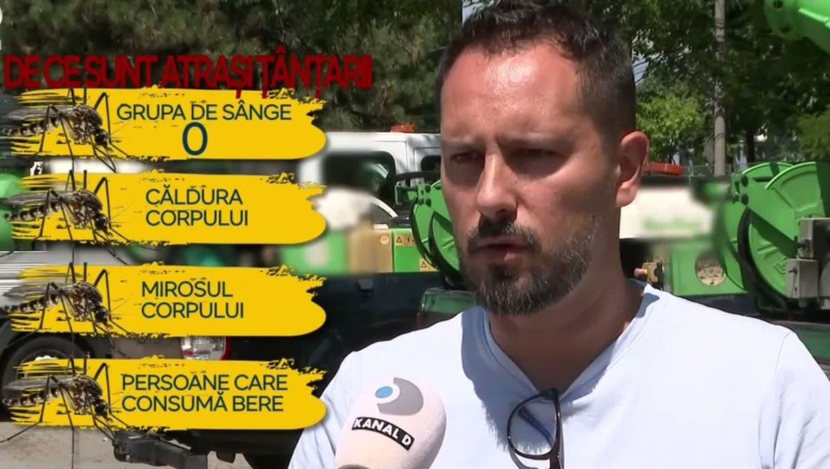 VIDEO A început sezonul țânțarilor: doar femelele înțeapă și iată cum ne putem proteja