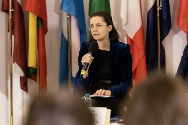 Femeia din spatele deciziilor premierului Luca Niculescu. Cine este diplomata Mihaela-Ilincuța Ștefan-Simion