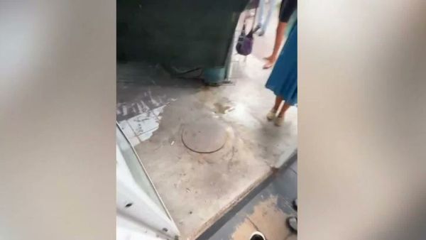 VIDEO Comerțul ilegal pe plajele din Eforie: Alimente pregătite &icirc;n condiții insalubre și evaziune fiscală