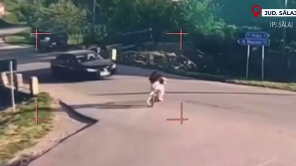 VIDEO Două fetițe au fost rănite după ce bicicleta pe care se aflau a fost lovită de un autoturism &icirc;n Sălaj