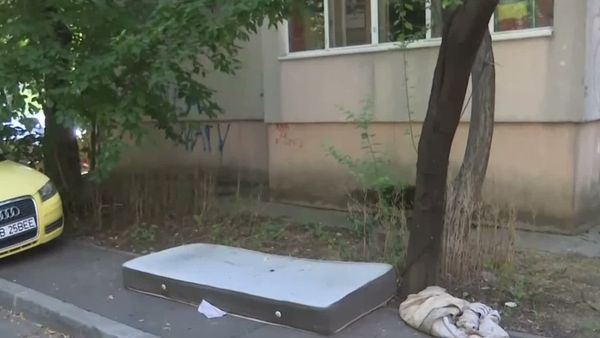 VIDEO Invazia ploșnițelor &icirc;n București: Sectorul 6, cel mai afectat de infestări masive